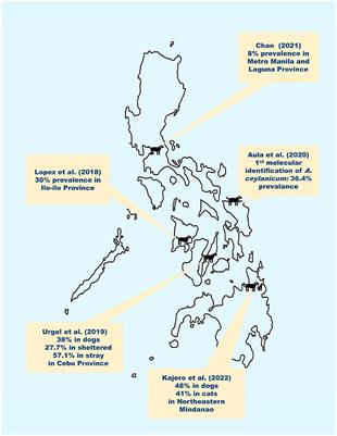 Canine hookworms in the Philippines—Very common but very much neglected in veterinary research